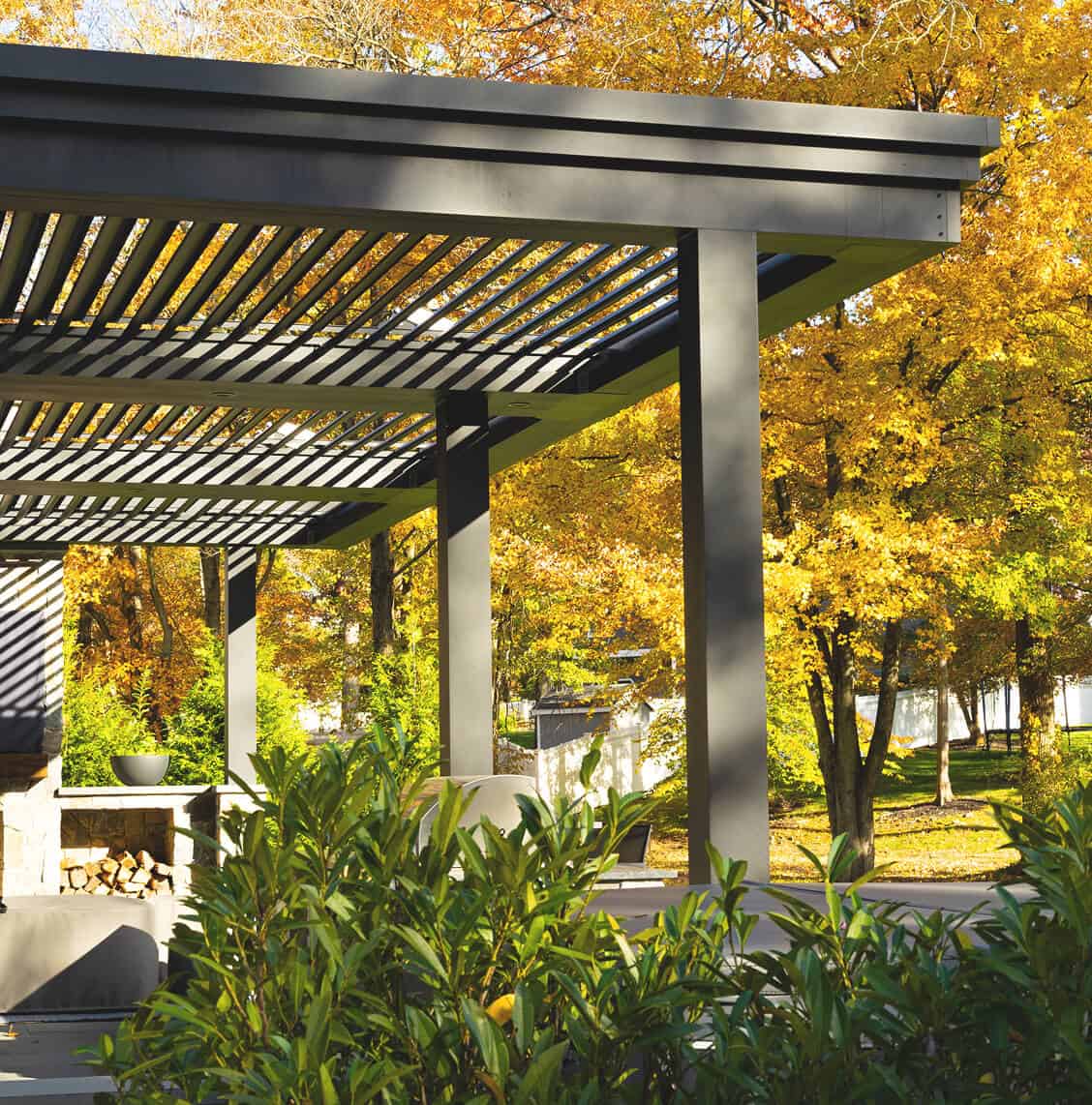 Pergola with black metal frame and surrounding greenery in a backyard setting.
